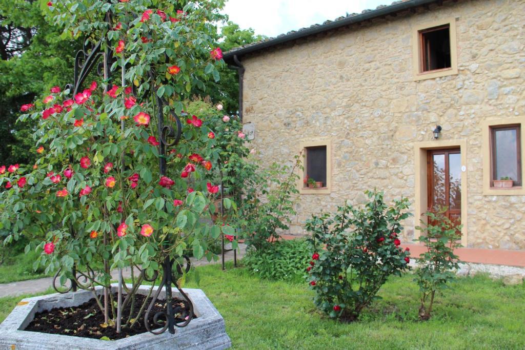 סן ג'ימיניאנו Agriturismo Il Castagnolino חדר תמונה
