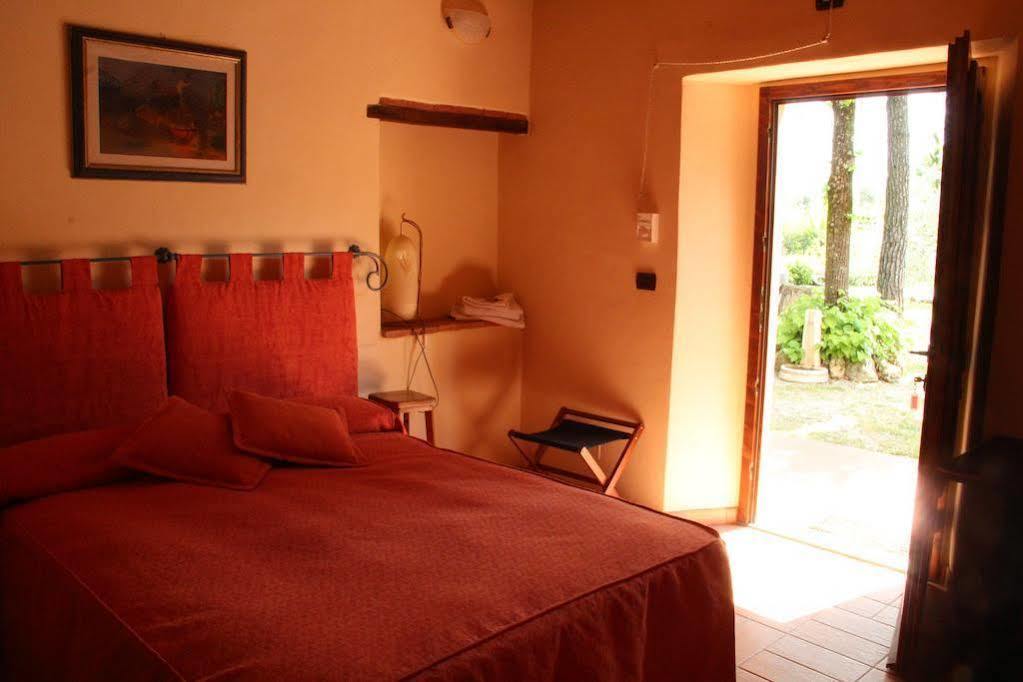 סן ג'ימיניאנו Agriturismo Il Castagnolino מראה חיצוני תמונה
